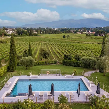 Apartment Pietro In Wine In
