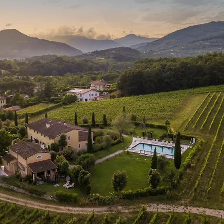 Apartment Pietro In Wine In Lucca